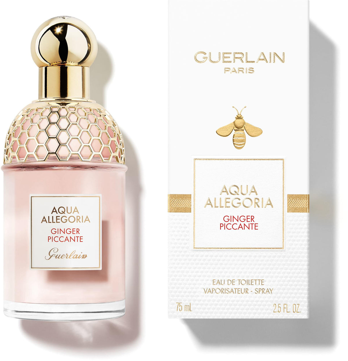 Ginger Piccante Aquala Allegoria.