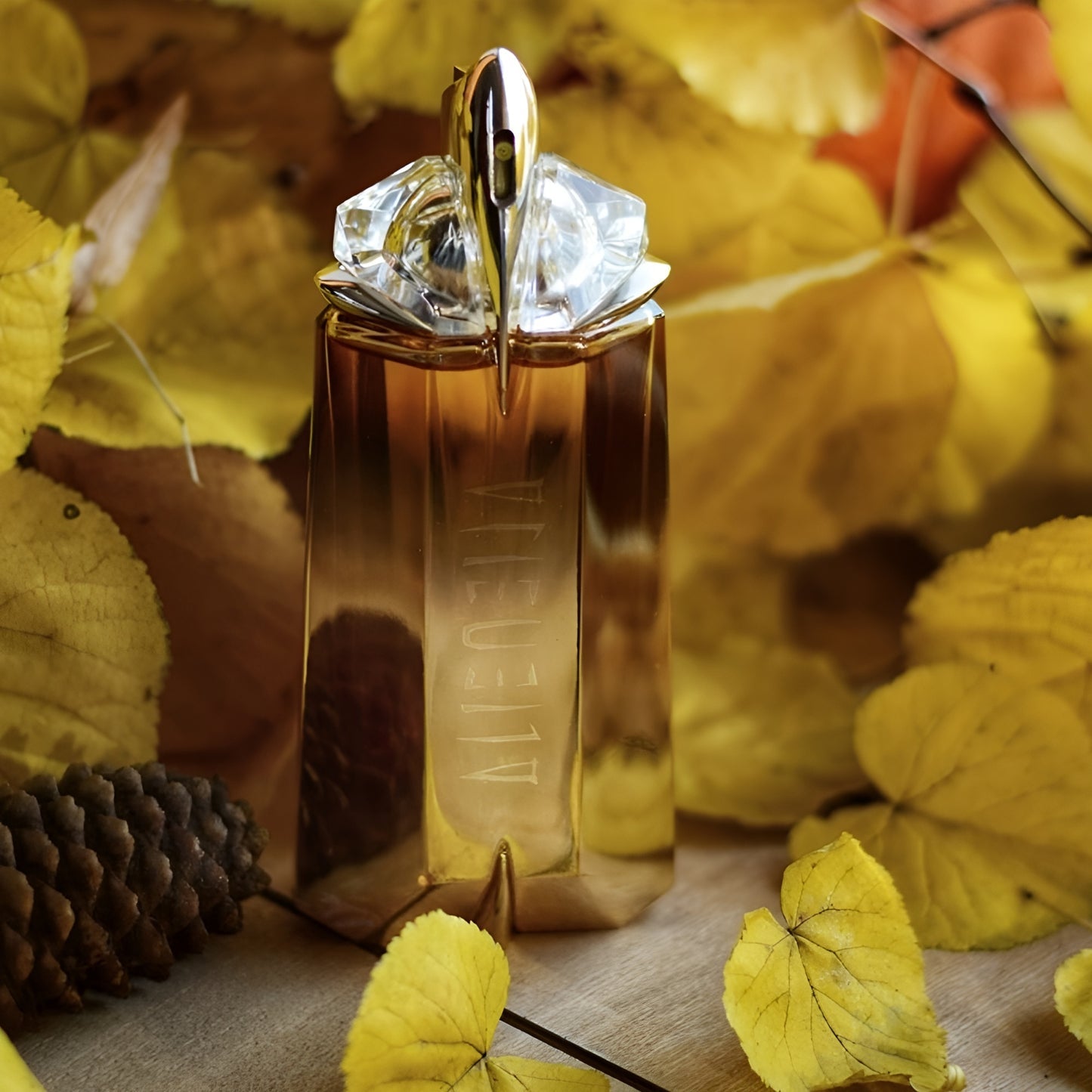 Alien Oud Majestueux by Thierry Mugler
